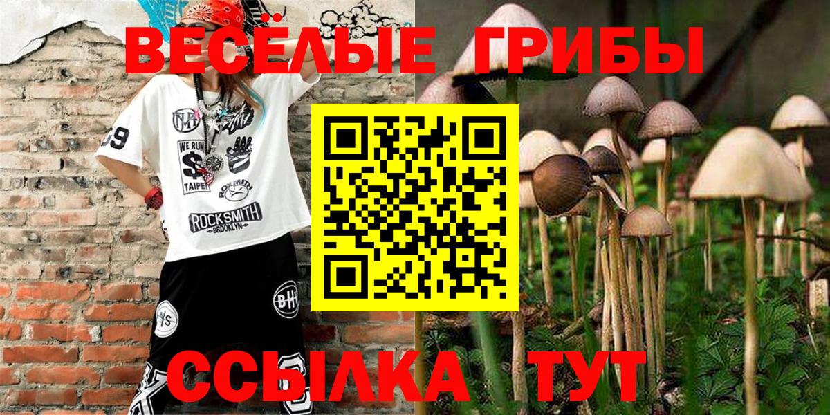 Галлюциногенные грибы Cubensis  Псилоцибиновые грибы Magic Shrooms  Клинцы  Вход с VPN 